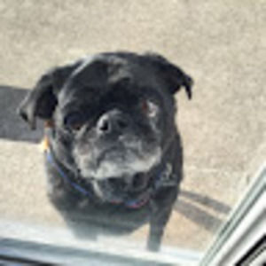 Welcome to my Closet!